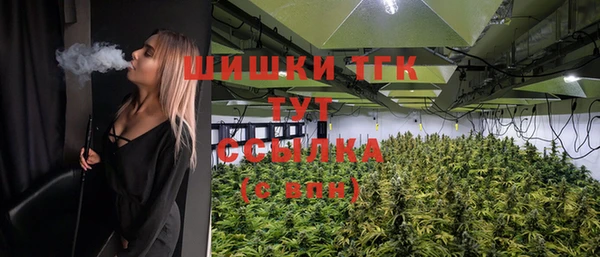 гидропоника Абаза