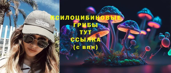 гидропоника Абаза