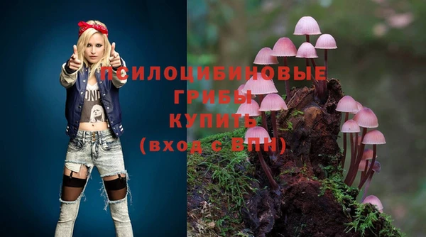 СК Абдулино