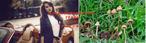 круглые Алексеевка